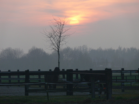 Zonsondergang