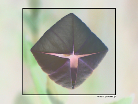 Binnen zit het licht