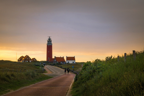 Texel