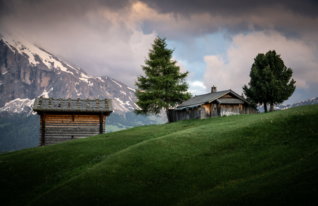 Alpe di Siusi