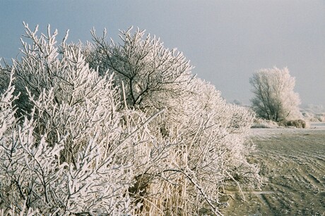 Oostvoorne.