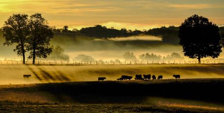 Misty Morning in the Corrèze