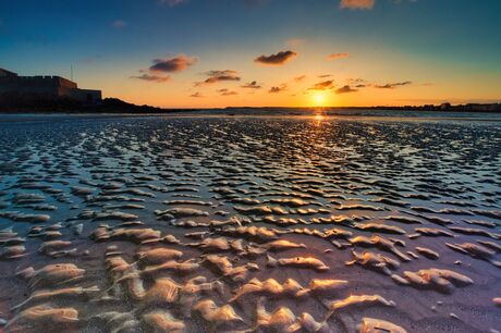 Zand, zee en zon