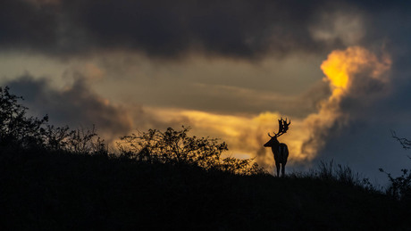 Wandeling AWD