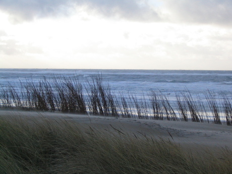 het strand op texel