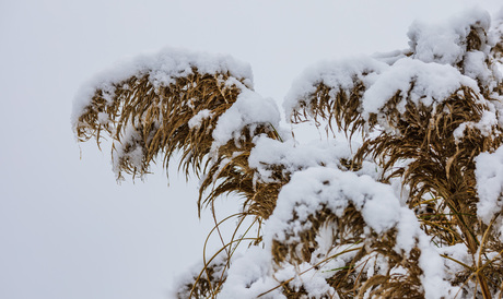 Plost is het winter