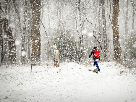 Sneeuwstorm