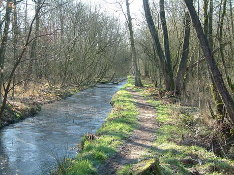 In de Waayenberg