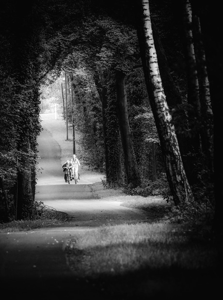 Mijn favoriete weggetje!