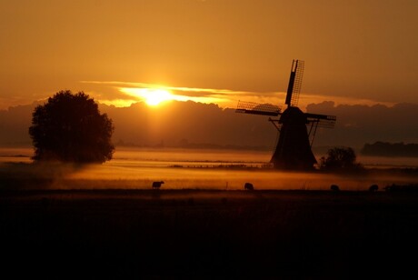 ZELFDE Molen 1