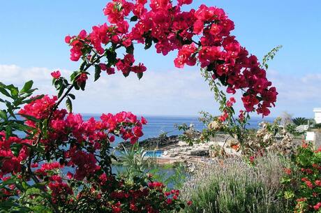 Madeira