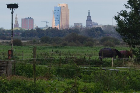 Gezicht op Groningen