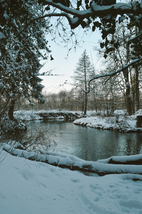 Winters doorkijkje