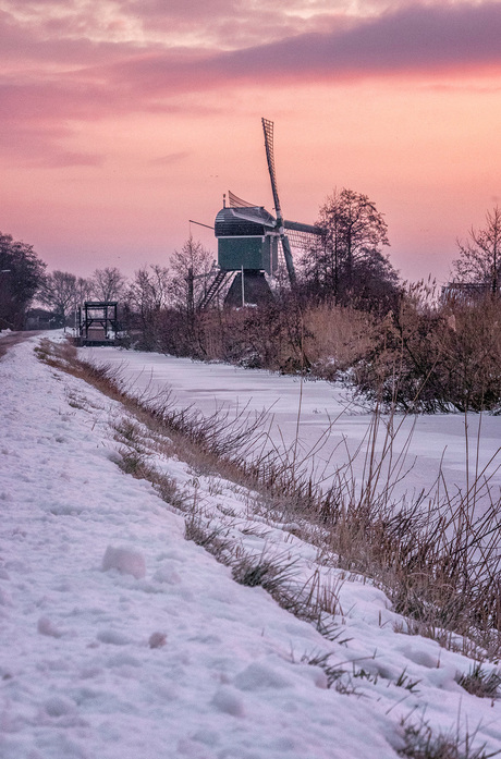 Molen De Trouwe Waghter