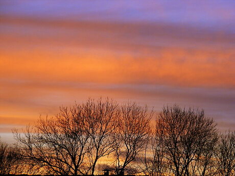 Oranje wolken