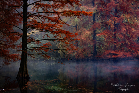 Herfstkleuren