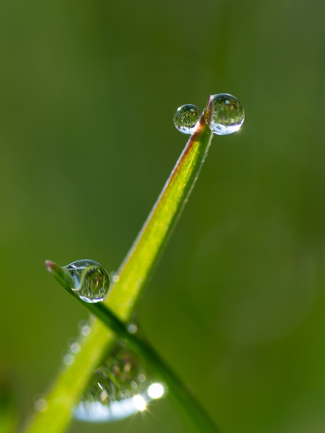 Double droplets