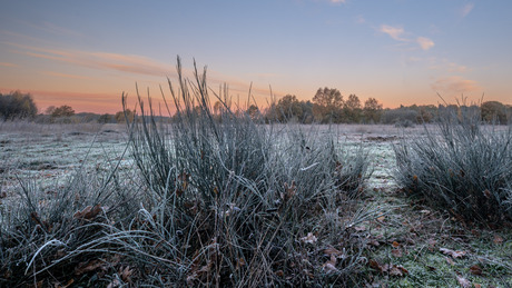Een koude ochtend in Twente 
