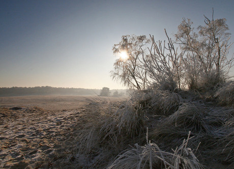 Winter in de Soester Duinen