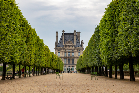 ecole du louvre