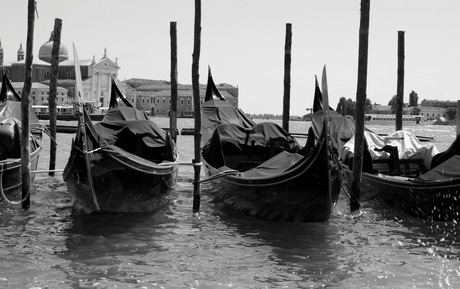 Venice Gondola