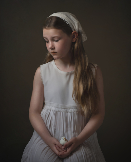 A little white bird