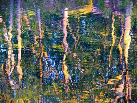 Reflectie in het water