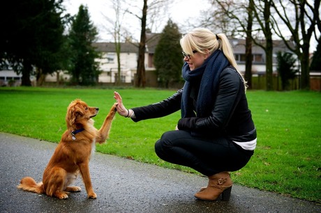 High Five!!