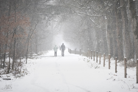 Wandelen door winterwonderland 