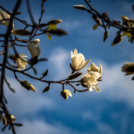 De lente laat zich zien!