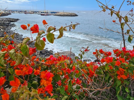 Tenerife, Costa Adeje 💙