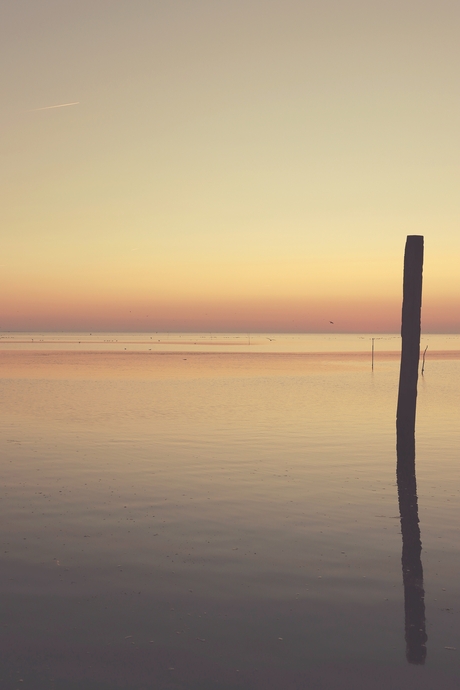 Pastel op het wad.