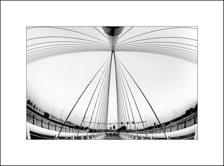Calatrava's Citer 3