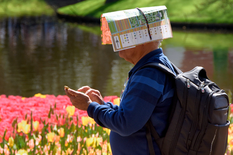 Een warme dag op de Keukenhof