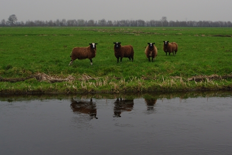 hier klopt iets niet