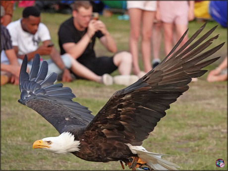 Mobieltjes … zucht …