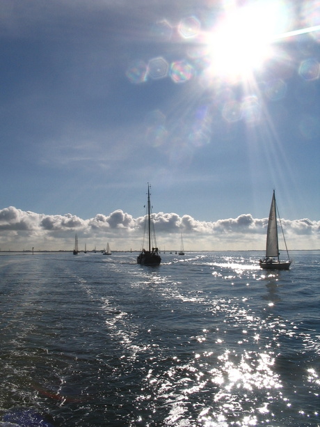 Botteren op de Waddenzee