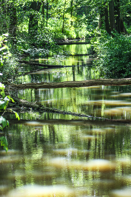 Weerspiegeling