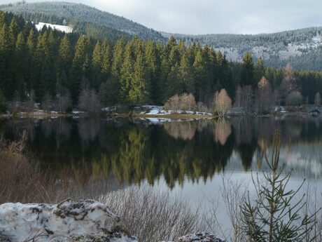 schwarzwald