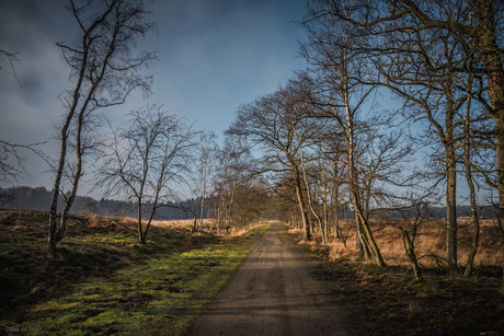 Nieuwe Heide - Best