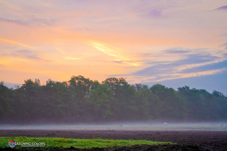 Misty sunrise