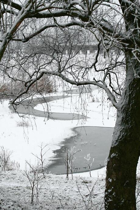 Grijs winterlandschap