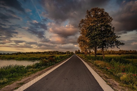 Zomerse Zonsondergang