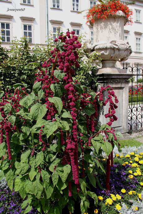 Mirabellgarten Salzburg