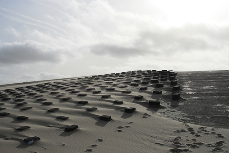 strand Texel