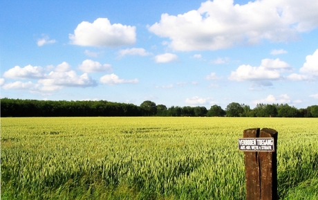 Akkerlandschap in de zomer