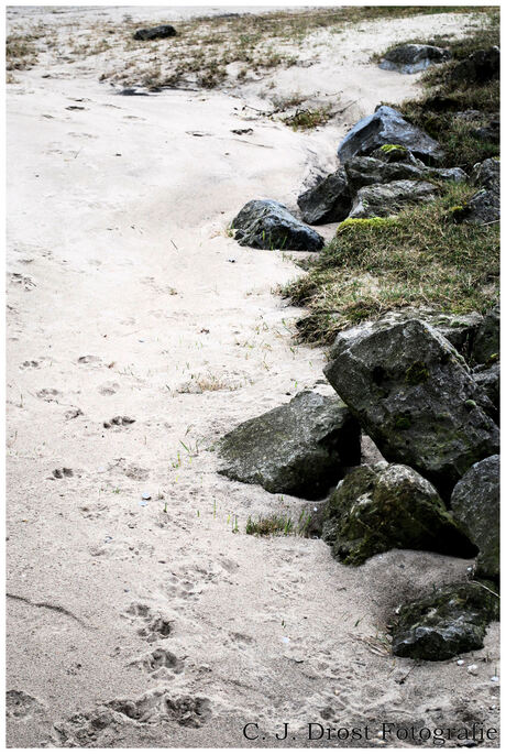 Voetsporen in het zand