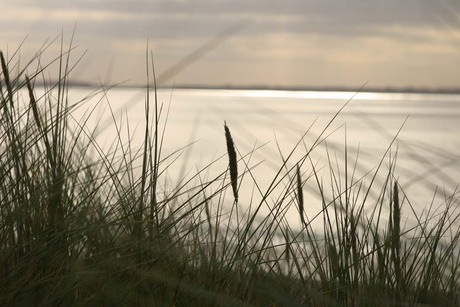 Zondagse Strandwandeling