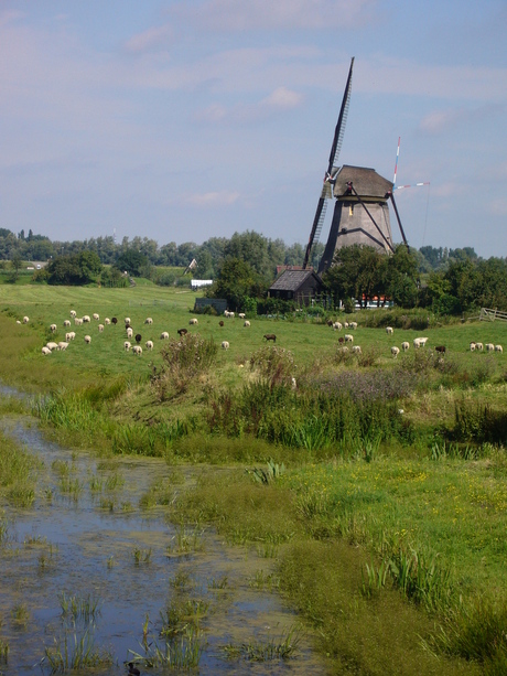 kinderdijkse molen