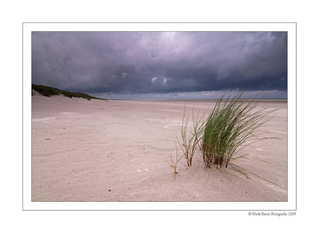 Ameland 8